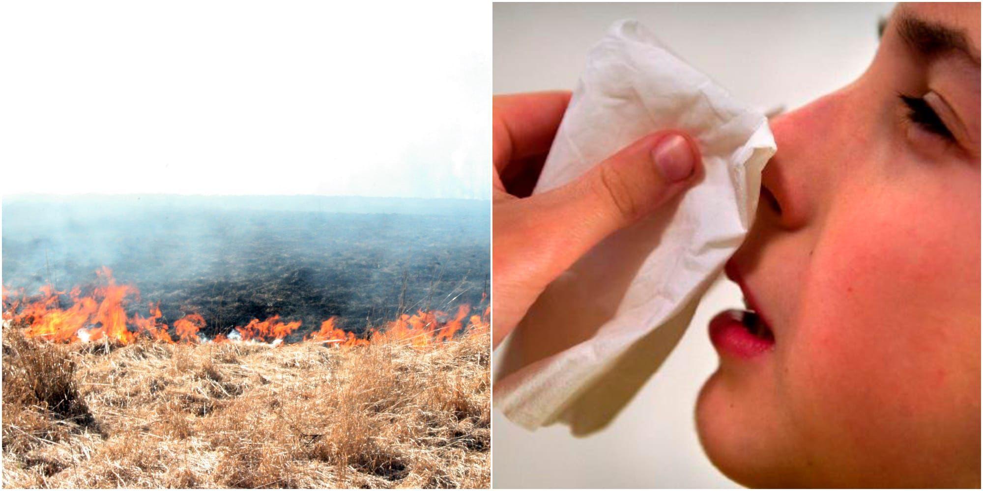 Gräsbränder och pollen väntas till helgen.