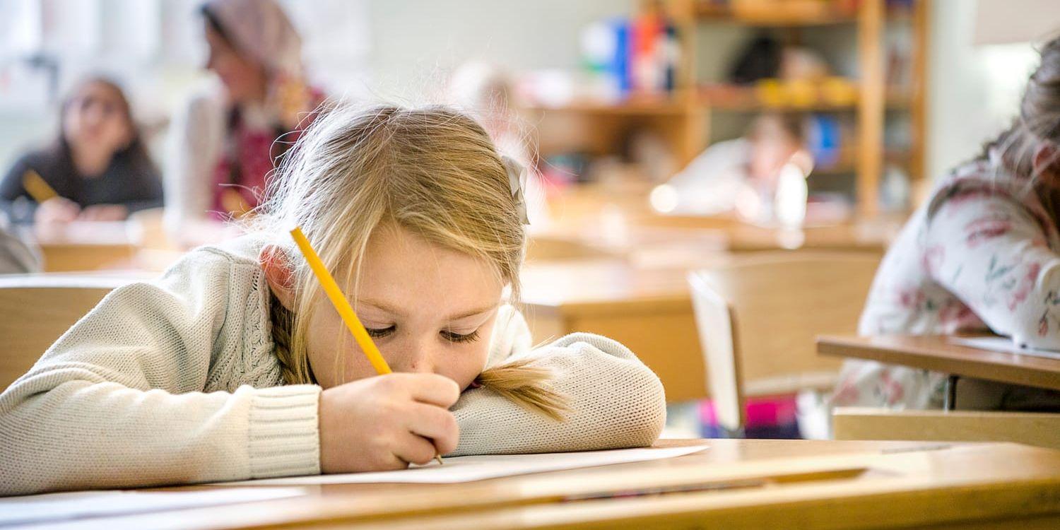 Ta bort den godkäntgränsen i grundskolan. De som har fått F ska ha möjlighet att, med sina övriga betyg som grund, söka sig vidare till gymnasiets yrkesprogram, skriver Patrik Renström,(C).